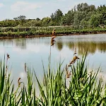 Nature House シャレー プシュチナ