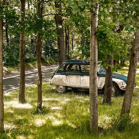 Nature House شاليه *