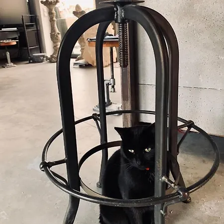 Chalet Nature House Pszczyna