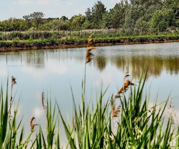 Nature House شاليه بيشتنا