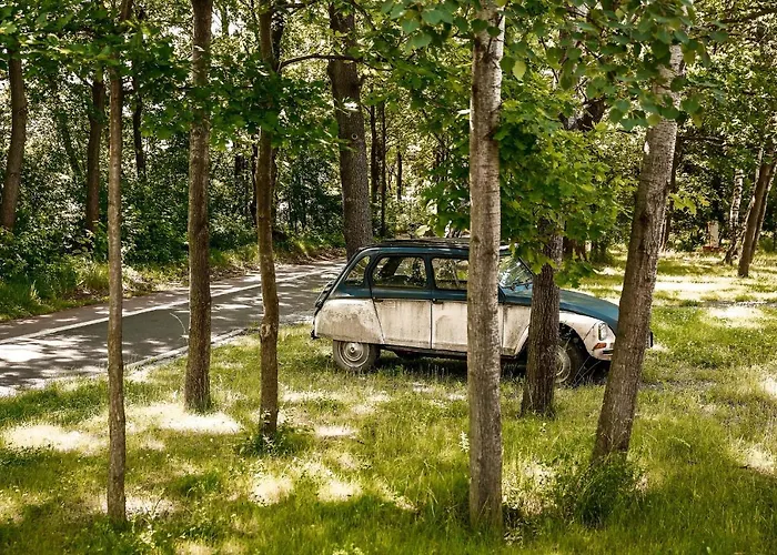 Nature House شاليه *