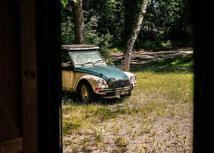 Nature House شاليه بيشتنا