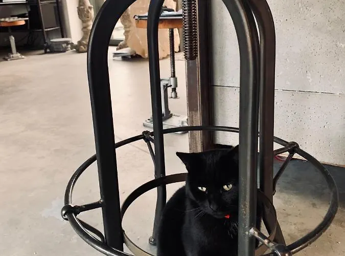 شاليه Nature House بيشتنا